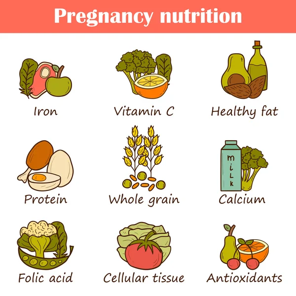 Set de produse pentru gravide — Vector de stoc