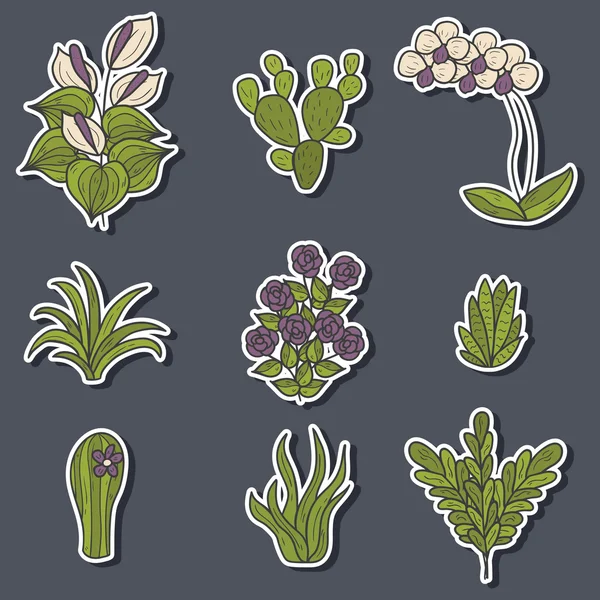Rośliny doniczkowe kreskówka naklejki — Zdjęcie stockowe