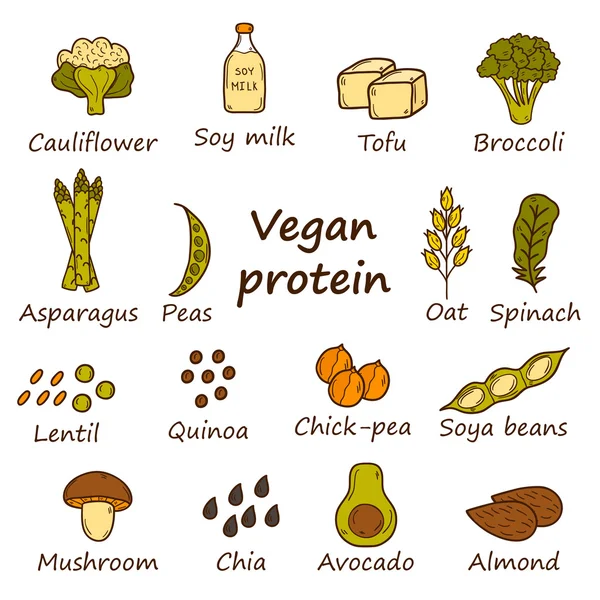 Iconos de proteínas veganas — Foto de Stock