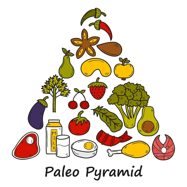 Set de obiecte în stil desenat manual pe tema dietei: carne, pește, fructe, legume, condimente, nuci. Piramida Paleo. Conceptul alimentar sănătos — Vector de stoc