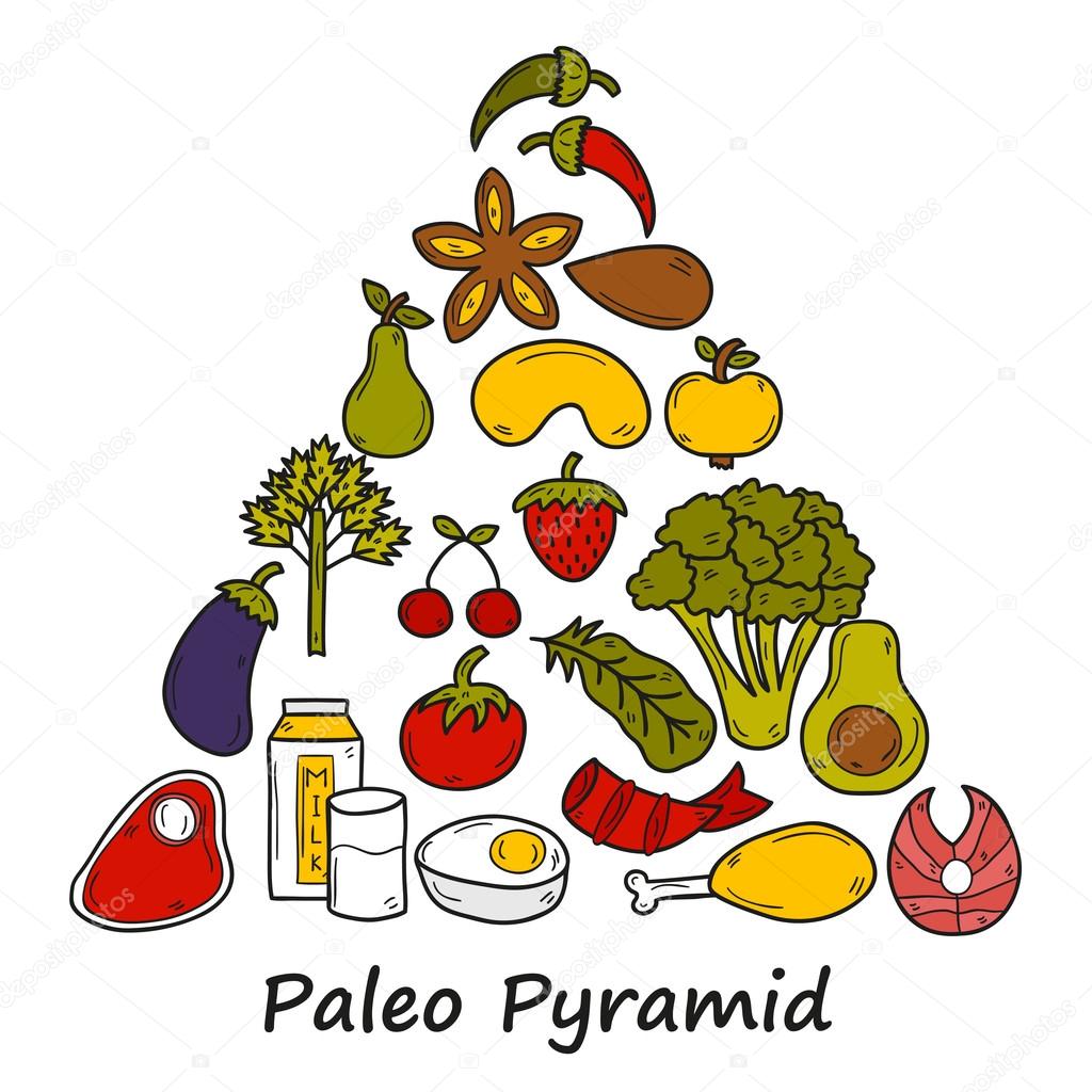 Set of objects in hand drawn style on diet theme: meat, fish, fruits, vegetables, spices, nuts. Paleo pyramid. Healthy food concept