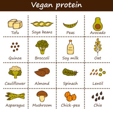 Çizgi film dizi el Vegan'da çizilmiş nesneleri protein kaynak tema: tofy, soya fasulyesi ve süt, quinoa, mercimek, chia. Sağlıklı vejetaryen gıda kavramı