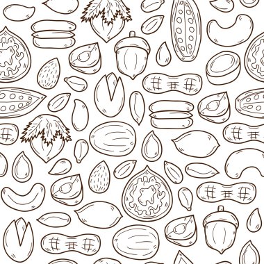 Sealess background with cartoon hand drawn objects on nuts theme: hazelnut, pumpkin and sunflower seeds, peanut, pecan, pistachio, cashew, walnut, acorn, almond, coconut, cocoa. Raw healthy food