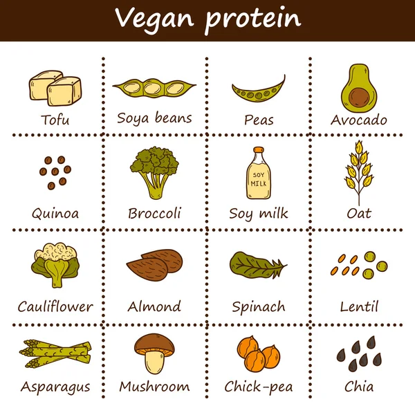 Sada kreslený ručně kreslených objektů na veganské téma zdroj bílkovin: Alena, sojové boby a mléko, quinoa, čočková, chia. Zdravé vegetariánské jídlo koncept — Stockový vektor