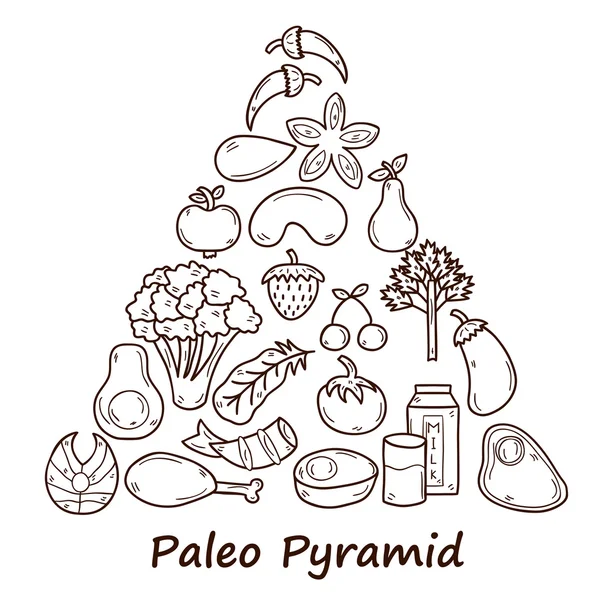 Set of objects in hand drawn style on diet theme: meat, fish, fruits, vegetables, spices, nuts. Paleo pyramid. Healthy food concept — 스톡 벡터