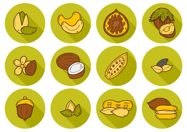 Set objek gambar tangan kartun pada tema kacang: hazelnut, labu dan biji bunga matahari, kacang tanah, kacang polong, pistachio, jambu mete, kenari, biji ek, almond, kelapa, kakao. Konsep makanan sehat mentah - Stok Vektor