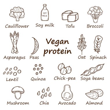 Çizgi film dizi el Vegan'da çizilmiş nesneleri protein kaynak tema: tofy, soya fasulyesi ve süt, quinoa, mercimek, chia. Sağlıklı vejetaryen gıda kavramı