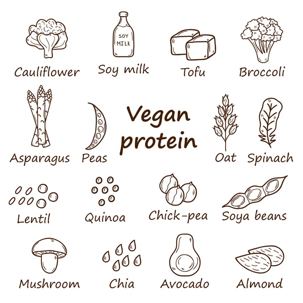 Conjunto de dibujos animados dibujados a mano objetos sobre la fuente de proteína vegana tema: tofy, soja y leche, quinua, lenteja, chía. Concepto de comida vegetariana saludable — Vector de stock