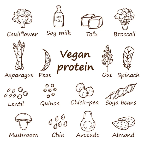 Set objek gambar tangan kartun pada tema sumber protein vegan: tofy, kedelai kacang dan susu, quinoa, lentil, chia. Konsep makanan vegetarian yang sehat - Stok Vektor