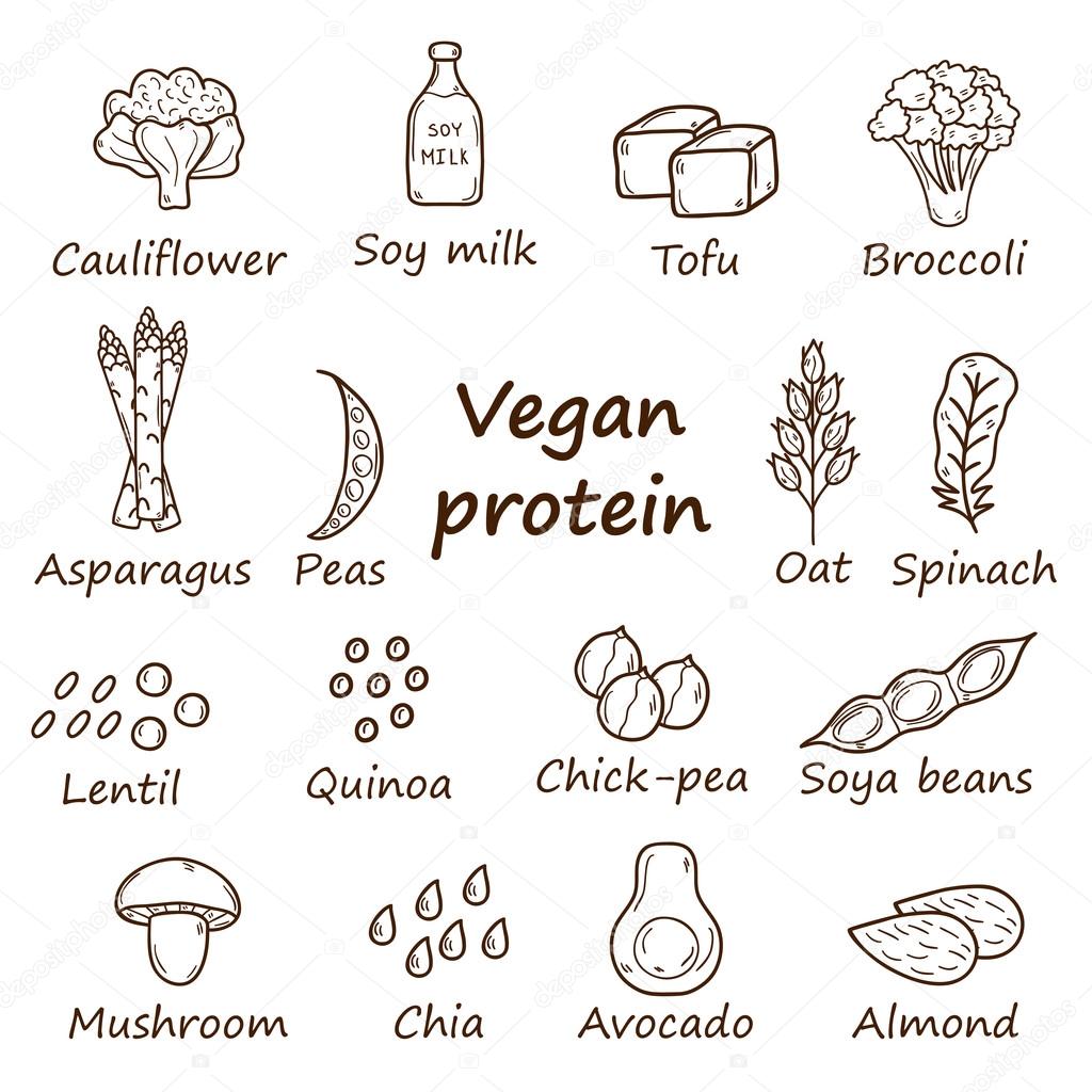 Set of cartoon hand drawn objects on vegan protein source theme: tofy, soya beans and milk, quinoa, lentil, chia. Healthy vegetarian food concept