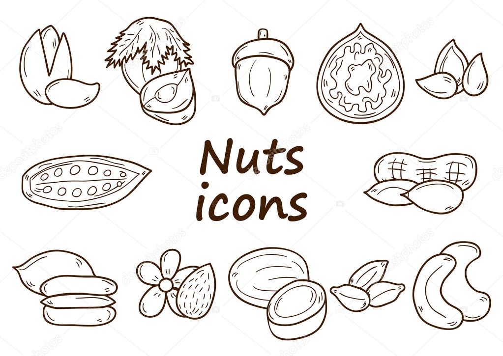 Hand drawn nuts icons