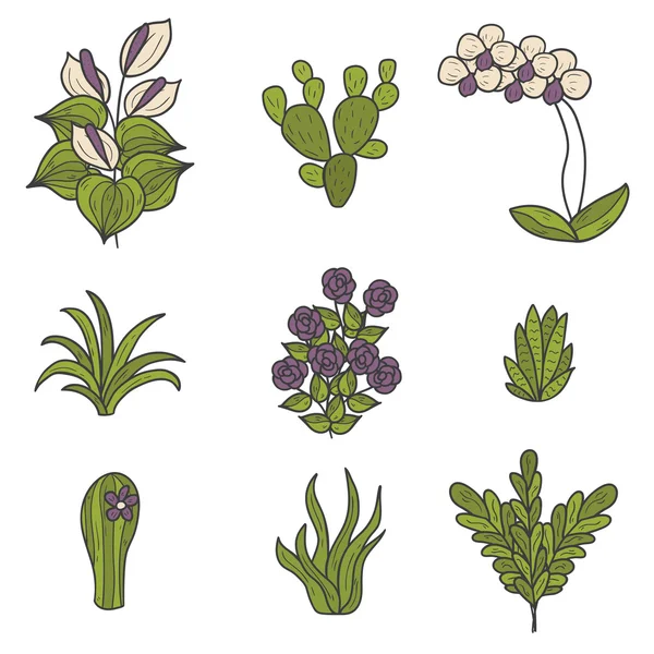 Iconos de dibujos animados de plantas domésticas — Vector de stock