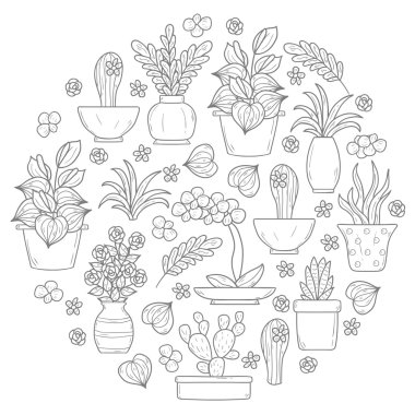 Yuvarlak houseplant arka plan