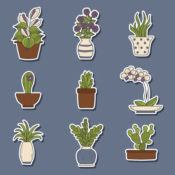 Pokojové rostliny kreslené samolepky — Stockový vektor
