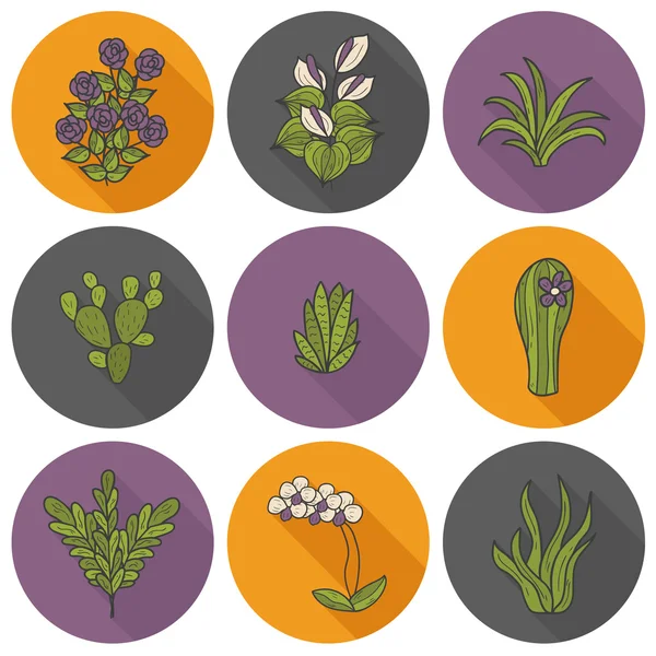 Iconos de dibujos animados de plantas domésticas — Vector de stock