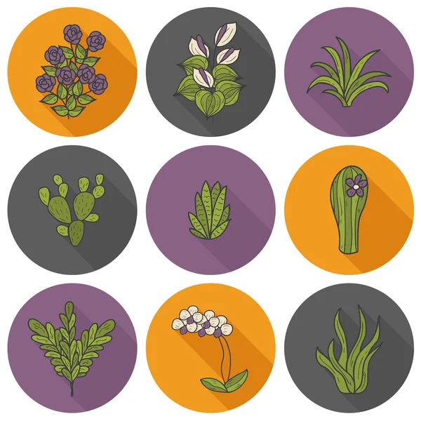 Houseplants cartoon icons — Stock Vector