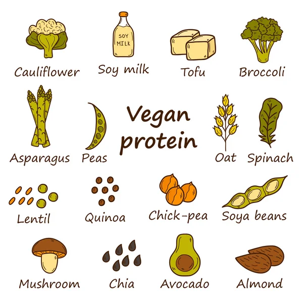 Vegan protein icons — Stock Vector