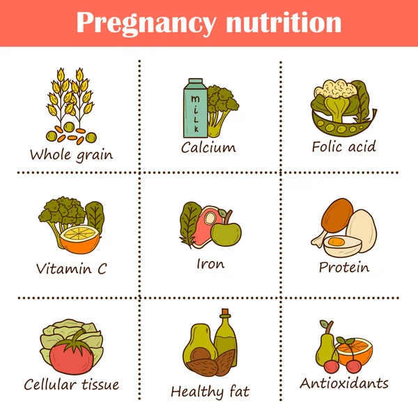 Terhesség táplálkozás objektumok — Stock Vector