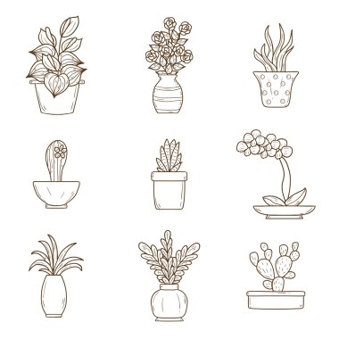 Simgeler houseplants karikatür
