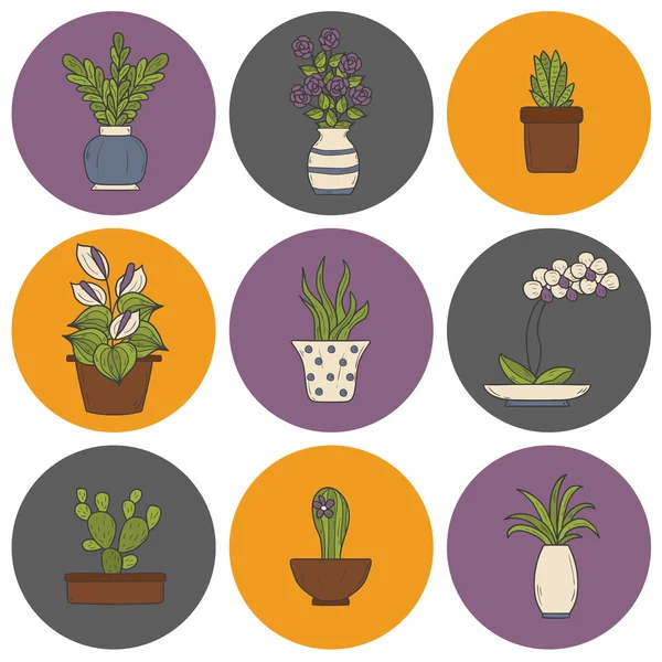 Iconos de dibujos animados de plantas domésticas — Vector de stock