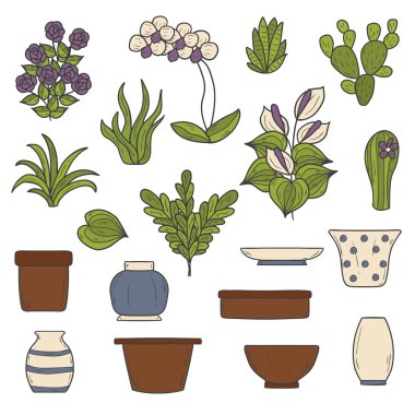 Houseplants nesneleri kümesi