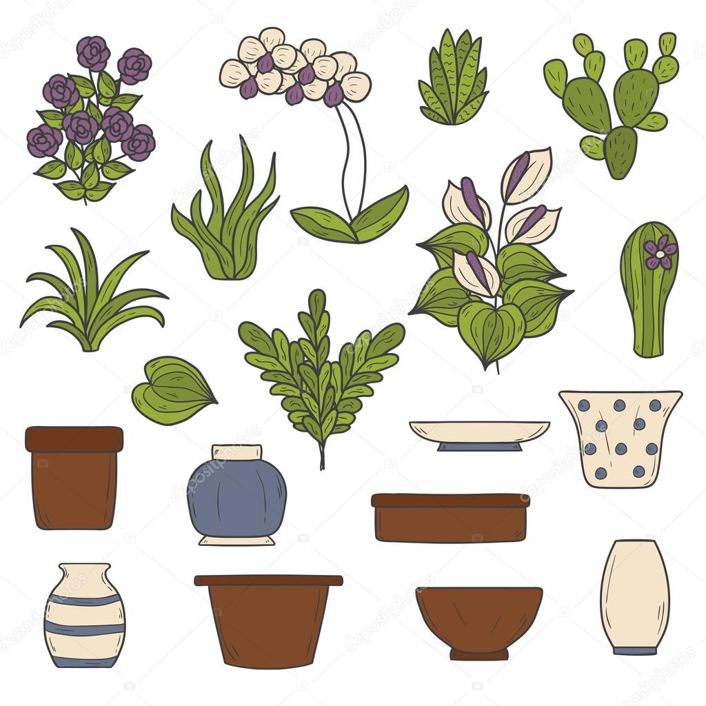 Set of  houseplants objects