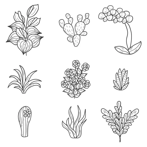 Rośliny doniczkowe kreskówka ikony — Wektor stockowy