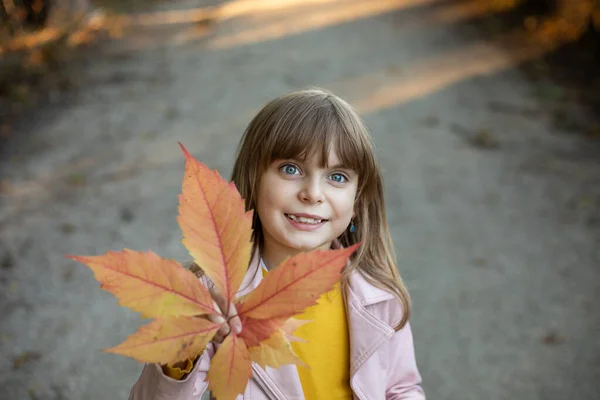 Foto Uma Menina Bonita Criança Parque Outono Com Uma Folha — Fotografia de Stock