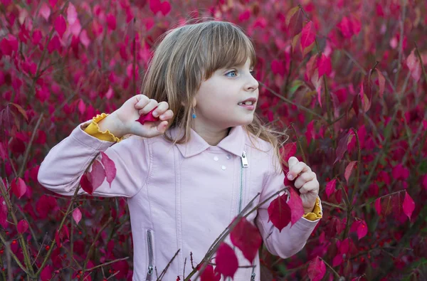 Uma Menina Escola Anos Brinca Com Folhas Cor Rosa Brilhantes — Fotografia de Stock