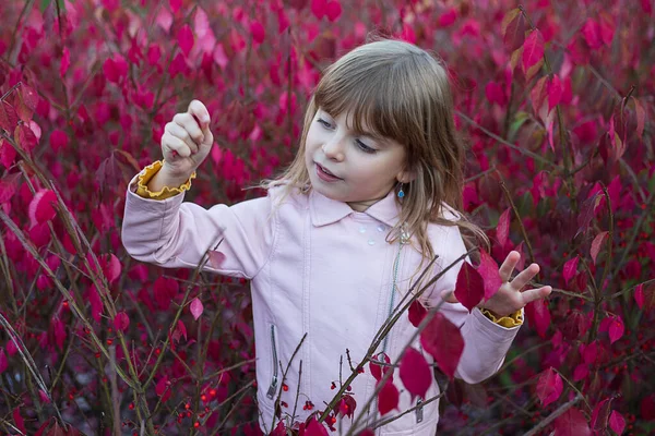 Uma Menina Escola Anos Brinca Com Folhas Cor Rosa Brilhantes — Fotografia de Stock