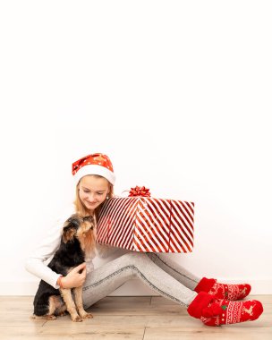 Noel aksesuarlarıyla sıradan kıyafetler giymiş güzel bir kız yerde oturmuş kırmızı kurdeleli ve fiyonklu büyük bir hediye kutusuna sarılıyor. Köpekle tam boy dikey fotoğraf. Boşluğu kopyala