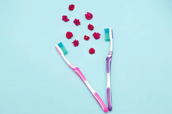 Fresh breath concept. Two toothbrushes on a blue background, the relationship of a couple, between them the aroma of flowers on a blue background. Photo close-up. — Stock Photo, Image
