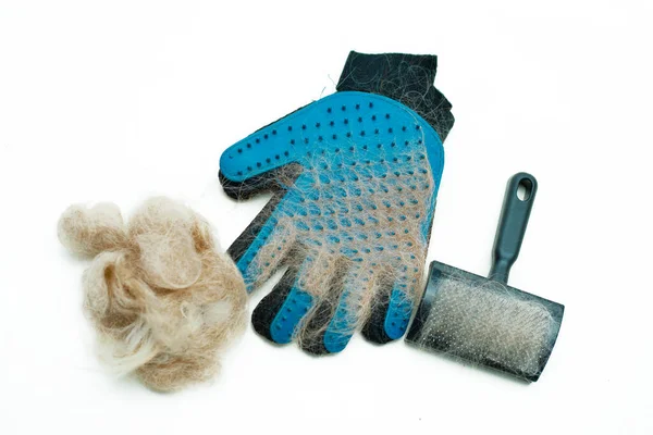 Blue rubber glove and animal brush for combing pets, cats, dogs. A clump of wool is the result of grooming. Tools for the grooming salon, or pet care at home. Flat lay, isolated. — Stock Photo, Image