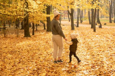 Genç anne ve oğlu güzel bir sonbahar günü ve parkta yürüyüş yapıyorlar. Altın sarısı yapraklar el ele tutuşuyor. Fotoğraf tam gelişim, arkadan görünüm