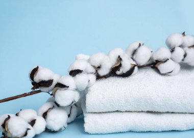 Mavi arka planda bir dal pamuk ve beyaz havlu. Ön manzara. Doğal kumaş konsepti. Boşluğu kopyala