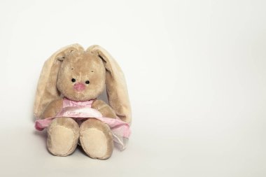 Beyaz arka planda pembe elbiseli, tüylü, sevimli tavşan tavşan tavşanı.