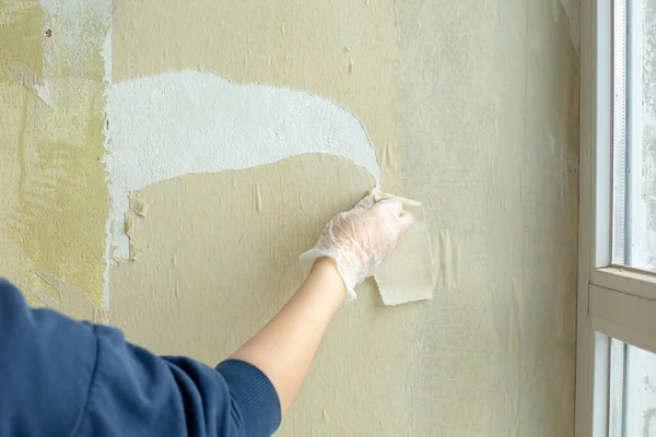 Female workers hand removes old wallpaper from the wall. The concept of repair, construction work Royalty Free Stock Images