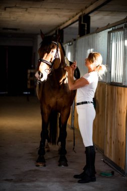 Genç atlet akşam antrenmanından sonra atına bakar. Karşılıklı anlayış ve zevke sahipler. Spor ve sağlık. Hayatın tadını çıkarıyorum. Aktif eğlence. Rol modeli. 
