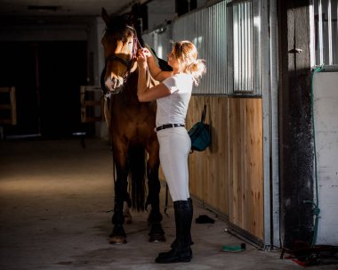 Güzel bir kadın atının dizginlerini yazın gün batımında ahırda ayarlar. At itaatkar bir şekilde duruyor. Mutluluk kavramı. Doğru bir yaşam tarzı. Doğayla birlik. 