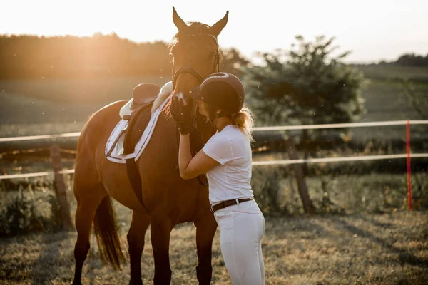 Junges Mädchen Sonnenstrahlen Küsst Ihr Pferd Das Konzept Der Liebe — Stockfoto