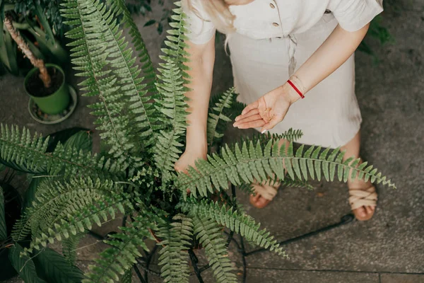 알아볼 수없는 여성의 파브라 사진을 — 스톡 사진