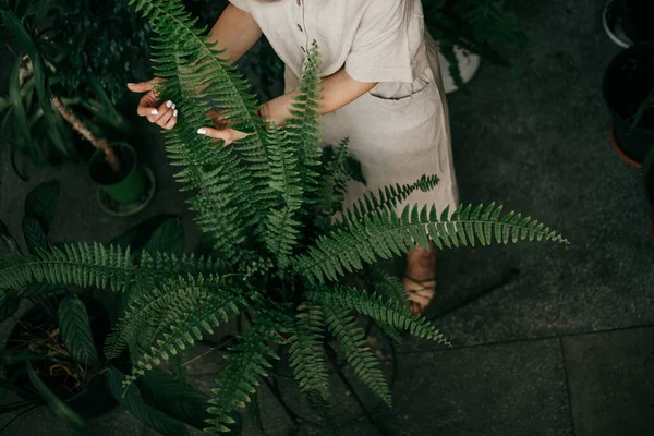 薄色のリネンの服の若い女性の水平方向の作物の写真 植物の世話 トップ表示 — ストック写真