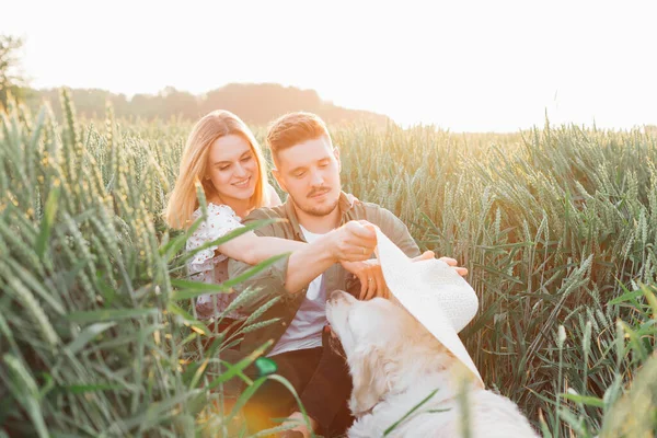 Golden Retriever Ile Genç Çift Arasındaki Iletişimin Harika Anları Sevgi — Stok fotoğraf