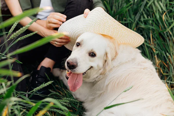 Bardzo Szczęśliwy Duży Biały Pies Białym Kapeluszu Założony Przez Właścicieli — Zdjęcie stockowe