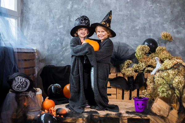 Retrato Entre Decoración Para Las Vacaciones Halloween Dos Niñas Años — Foto de Stock