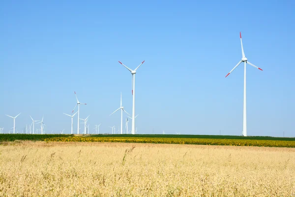 Вітрові турбіни над блакитним небом — стокове фото