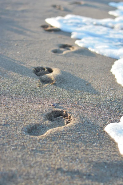 Menschliche Spuren am nassen Sandstrand — Stockfoto