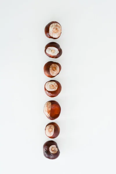 Conjunto vertical de castanhas marrons — Fotografia de Stock