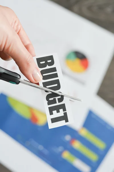 Budget cutting concept — Stock Photo, Image