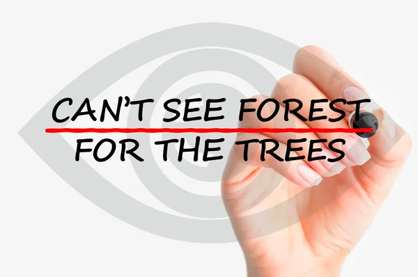 Can't see forest for the trees concept — Stock Photo, Image